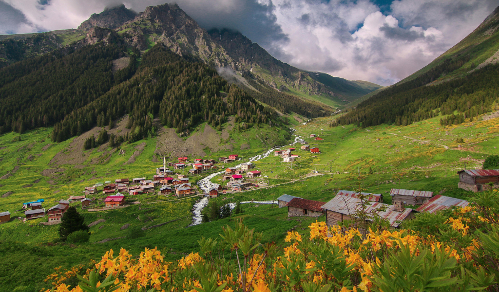 A beautiful Himalayan village nestled in a green valley with yellow flower tour package in the foreground, part of the Rishikesh to Valley of Flower Trek.