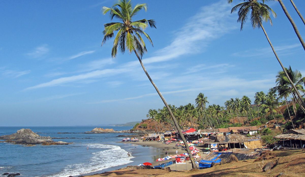 Beautiful coastline of Goa with tall palm trees and rocky shores under a clear blue sky, included in our Goa Holiday tour package.