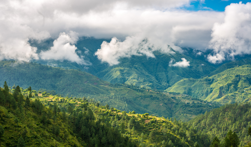 Green mountain valleys and clouds in Lansdowne, a key highlight of our Nainital Corbett and Lansdowne Tour Packages.
