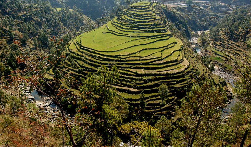 Green step-farmed terrace valley and river view included in binsar tour package ex Kathgodam travel itinerary.