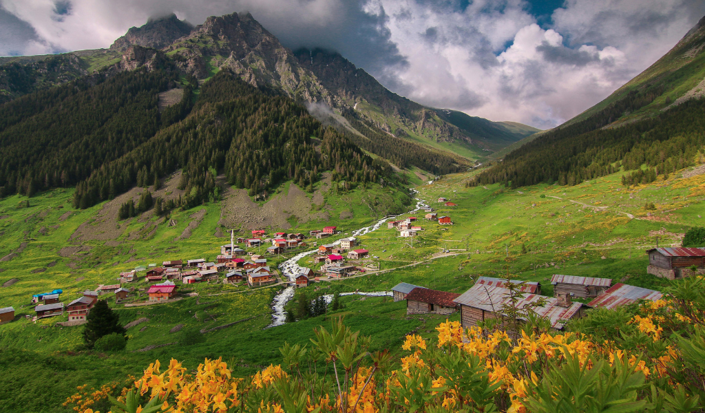 A Beautiful view of a mountain village and stream with yellow wildflowers in the foreground during a Valley of Flower trekking tour.