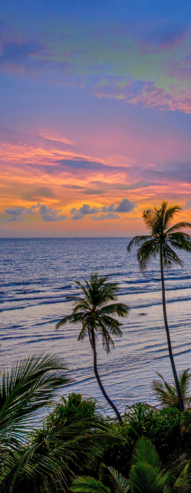 A view of a Colorful Fontainhas Goa beach at sunset with tall coconut palm trees in the foreground and a purple-gold sky, showcasing the hidden gems included in our goa holiday package 2 nights 3 days