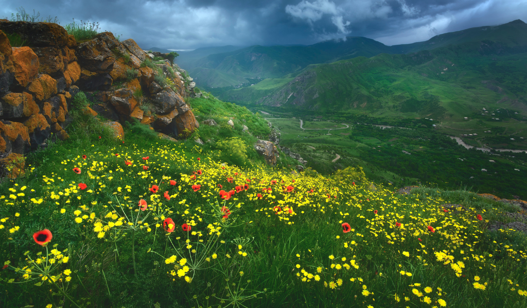 A breathtaking view of the Valley of Flower trekking tour National Park in Uttarakhand, featuring wild yellow and red poppies with lush green Himalayan mountains under a cloudy sky