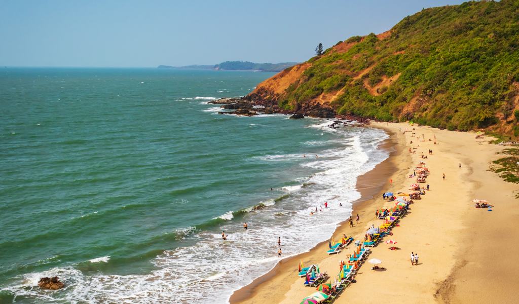 High-angle view of a crowded Goa beach with golden sand, colorful sunbeds and umbrellas, lush green hills, and Tourist relaxing in the Arabian Sea During the Gloden Triangle With Goa Tour.