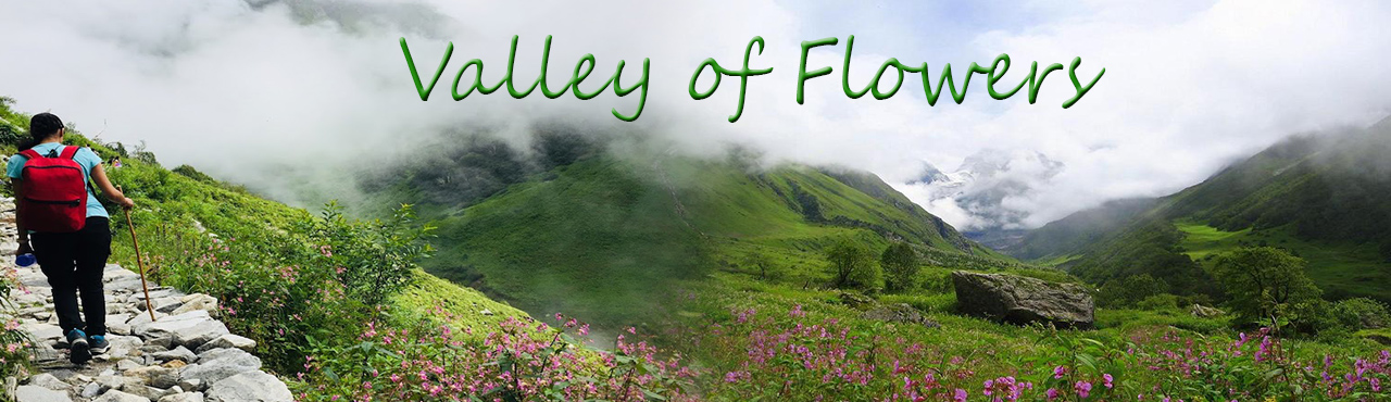 Rishikesh Valley of Flowers Tour