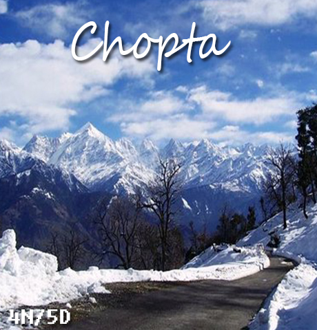 Rishikesh Chopta Tour Package