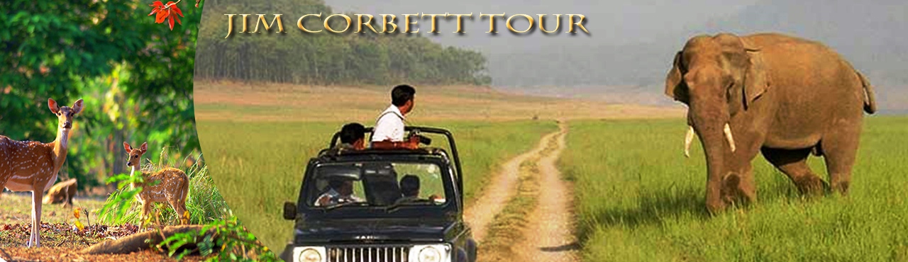 Jim Corbett Holiday Tour Ex Delhi