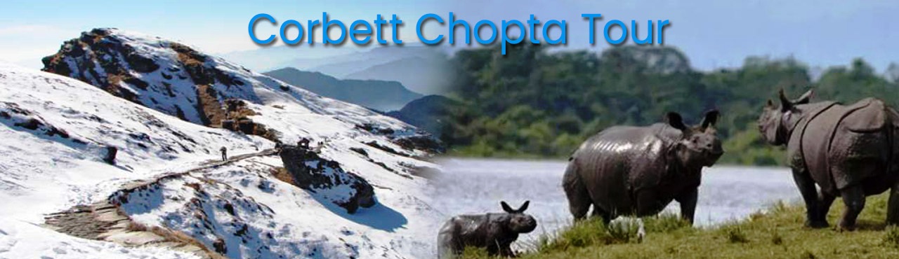Jim Corbett Chopta Tour Ex Delhi
