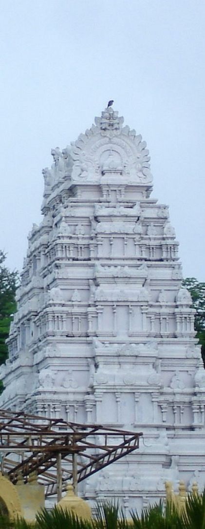 Side Image