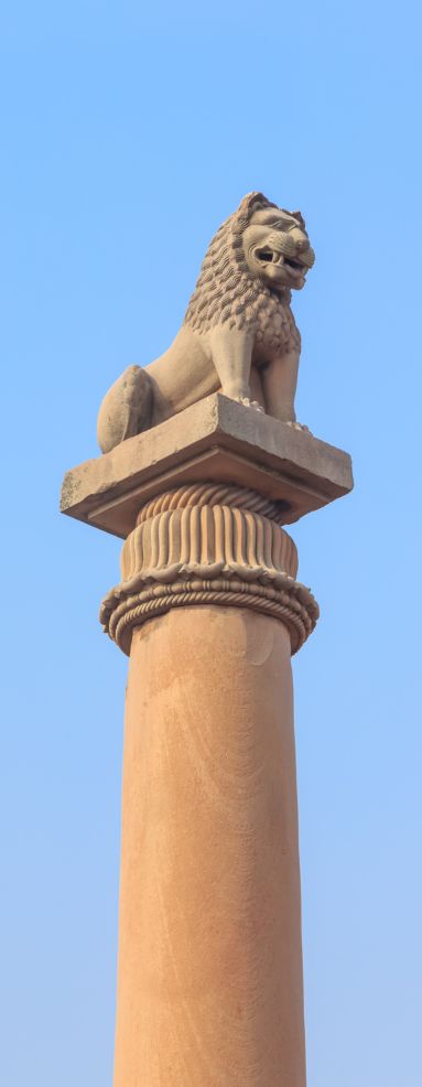 Side Image