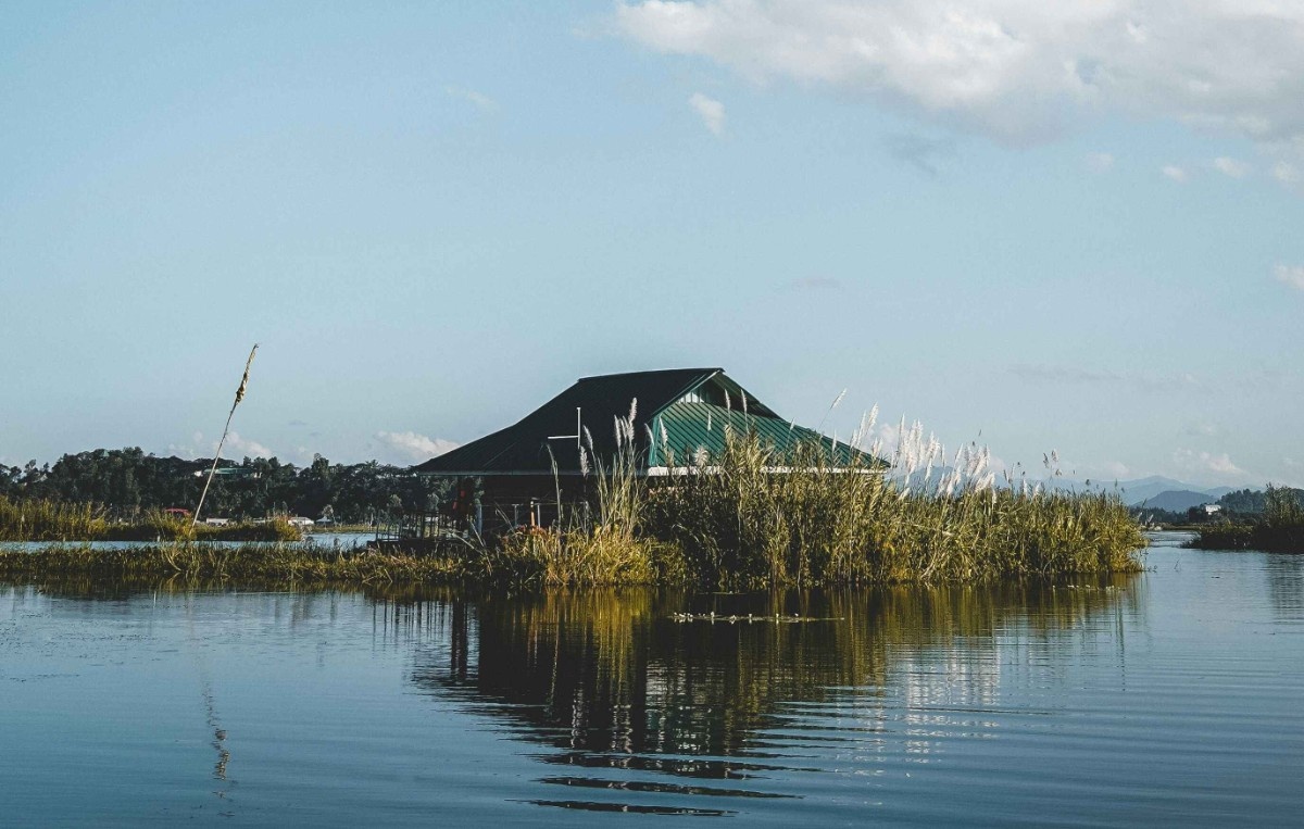 Img
