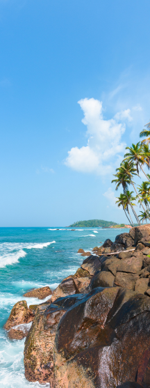 Scenic rocky coastline and palm trees in South Goa, a highlight of our Goa Travel guide for offbeat travelers.