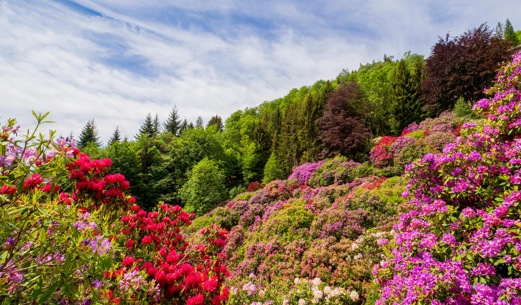 Vibrant red and pink flowers blooming on a lush green hillside under a blue sky in the Valley of Flowers Trek Uttarakhand.