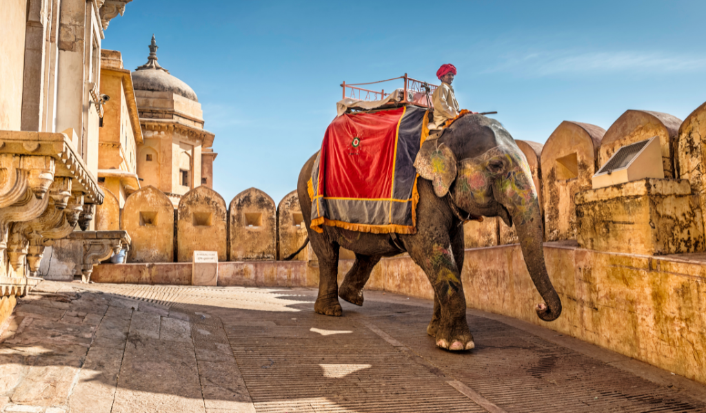 Art and culture of India royal heritage featuring a decorated elephant at Amer Fort in Jaipur Rajasthan.