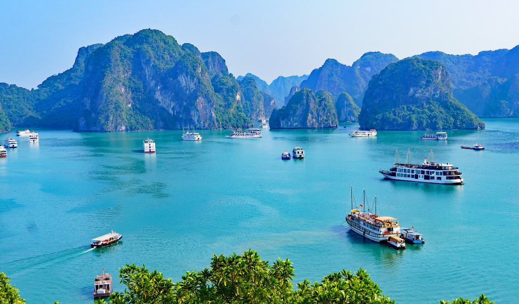 A beautiful view of the limestone karsts of Halong Bay rising from emerald waters, featuring numerous luxury cruise ships offering the best Vietnam itinerary experience from Hanoi.