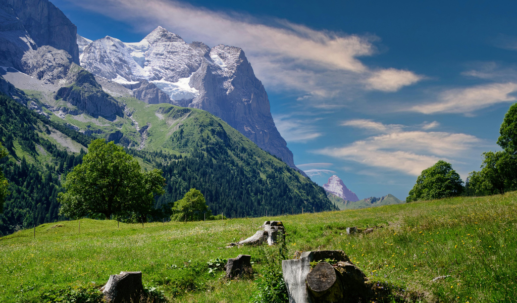 Beautiful green with snow-capped mountain backdrop visited during a chardham yatra package from Chandigarh.
