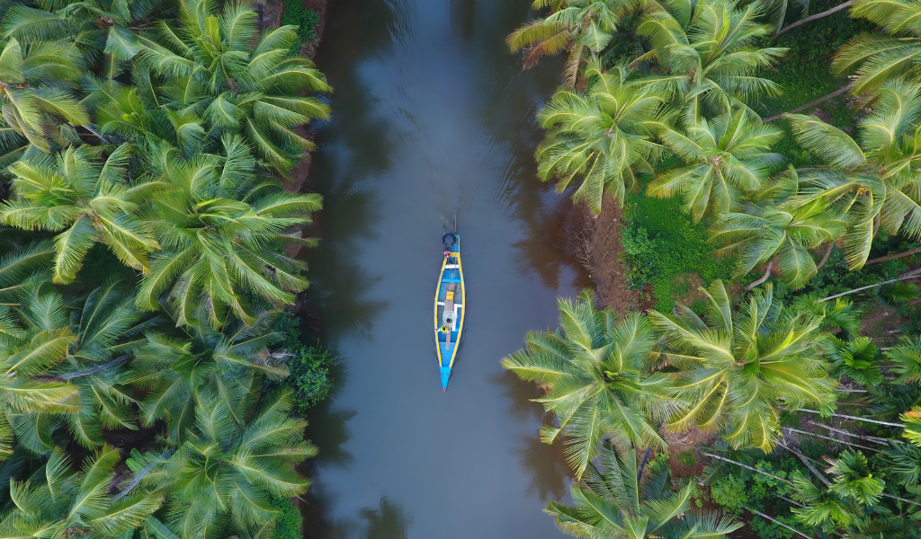 A peaceful boat ride through the Alleppey backwaters in our kerala holiday packages.