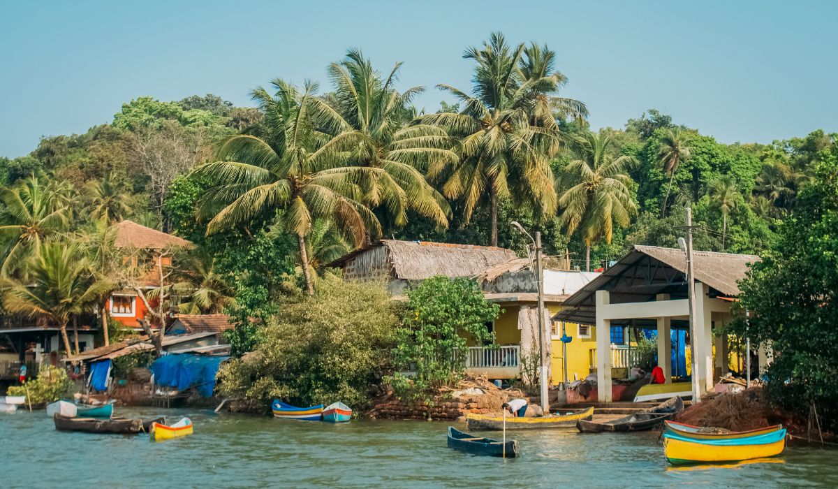 A calm view of the Goa backwaters with traditional colorful fishing boats near the riverbank and green coconut trees. This is a must-see part of any Goa tour package and a perfect addition to your goa visit package