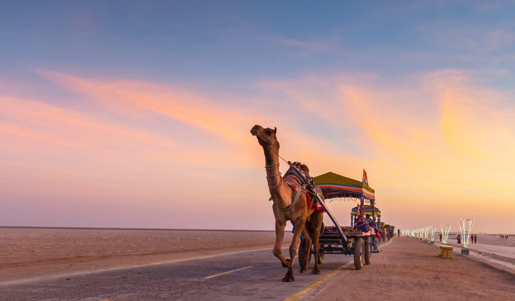 Luxury tent stay at Rann Utsav under the starlit sky, featured During Rann Of Kutch Package
