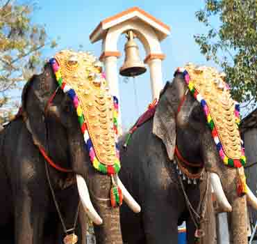 Pooram Elephant Festival