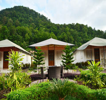 Resort in Jim Corbett National Park