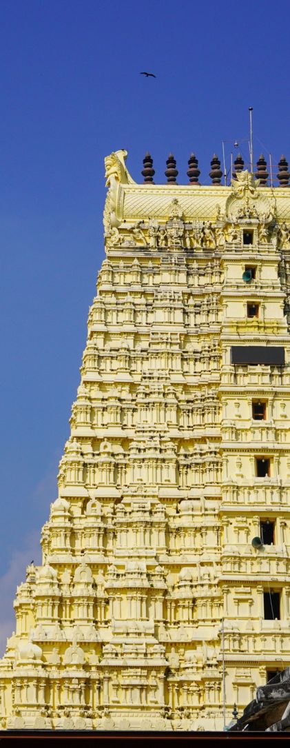 Side Image