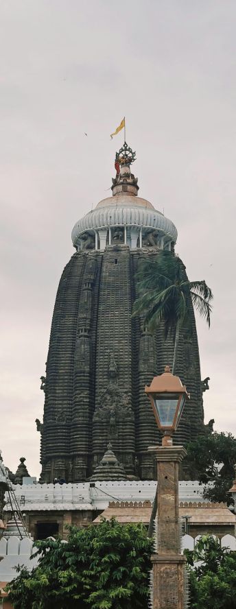 Side Image