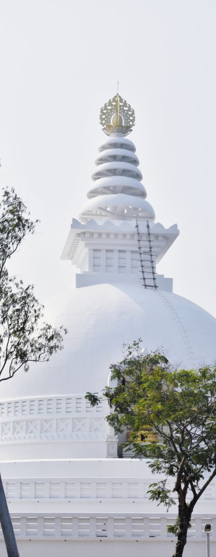Side Image