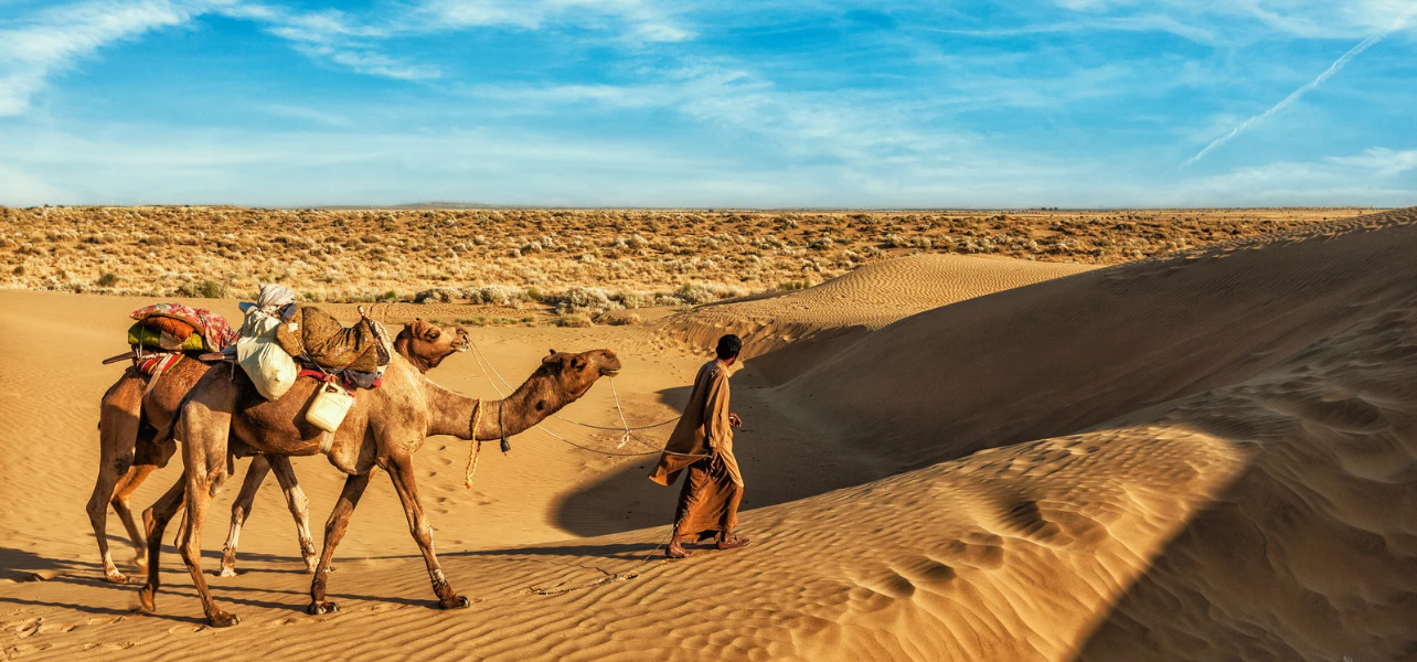 Camel safari ride across the golden Sam Sand Dunes in Jaisalmer Thar Desert during a Rajasthan tour package