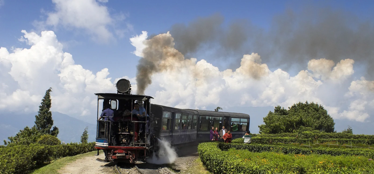 UNESCO heritage Darjeeling Toy Train steam engine running past tea gardens as part of Darjeeling tour package local sightseeing.