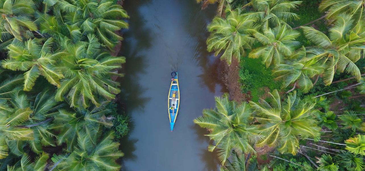 Top-down drone shot of a narrow Kerala backwater canal lined with dense green palm trees and a blue wooden boat captured during kerala holiday