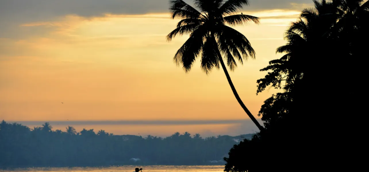 Puri Tour Package sunset river boat palm trees scenic peaceful view