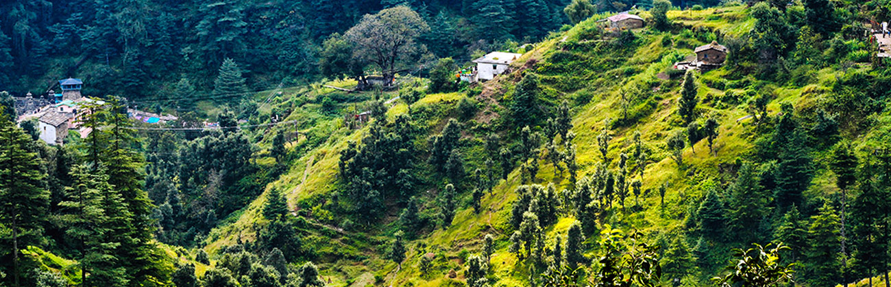 Binsar Ranikhet Almora Tour