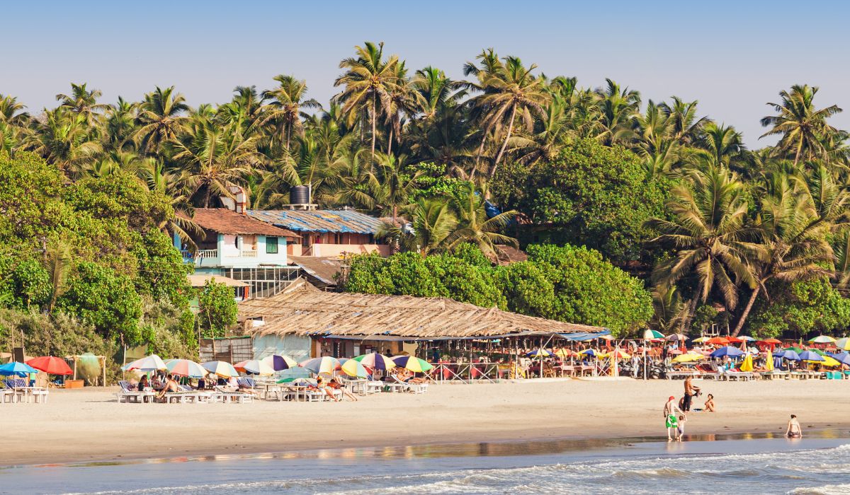 A lively and sunny beach view in Goa showing many colorful beach umbrellas, lounge chairs, and people relaxing by the ocean waves. This popular spot is a major highlight in our Goa tour package