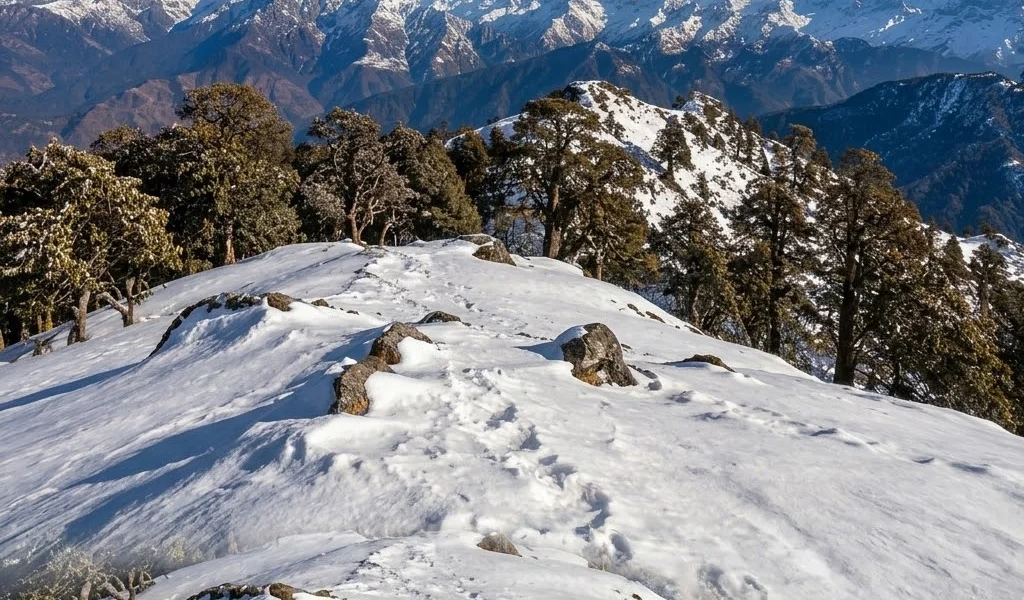 Scenic snow-laden forest ridge trail leading from Hanuman Chatti towards Seema Thatch on Gulabi Kantha trek Uttarkashi Uttarakhand