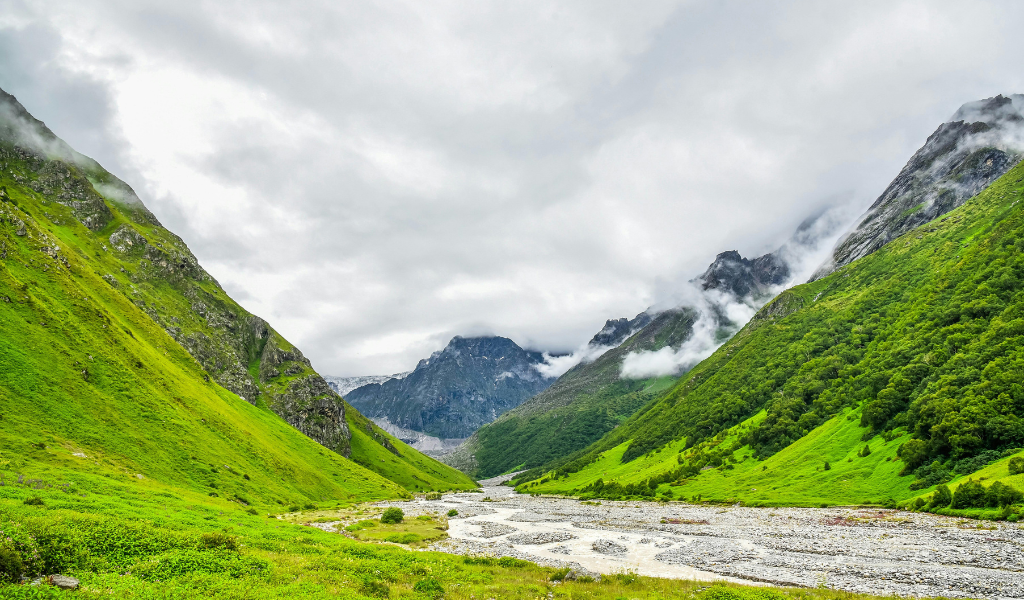 Auli tour package featuring lush green mountain valley and stream on the Valley of Flowers excursion near Joshimath.