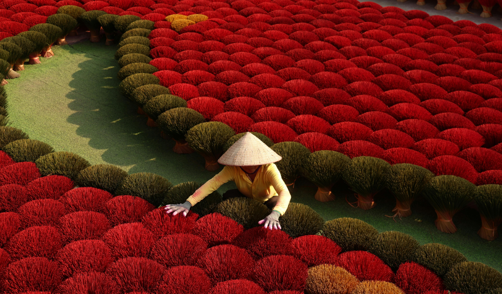 A top-down view of a local woman in a traditional conical hat working amidst a stunning pattern of bright red and dark dyed incense sticks, included in this cultural Vietnam trip package.