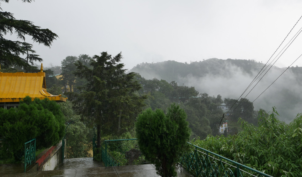 Misty weather and scenic green trees in Mussoorie in uttarakhand