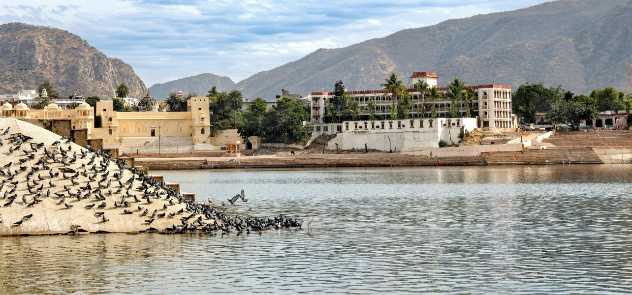 Pushkar Lake ghats with pigeons and scenic view in Rajasthan - best destinations in Pushkar Tour Package