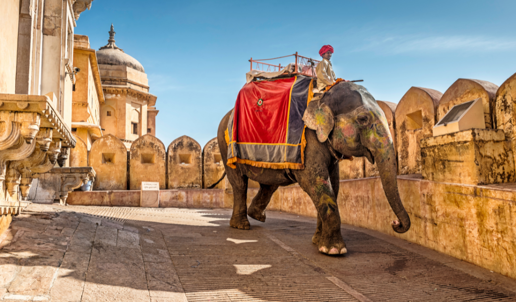 Image of Decorated elephant ride at Amer Fort entry ramp in Jaipur captured during Jaipur Udaipur Jaisalmer Tour Package