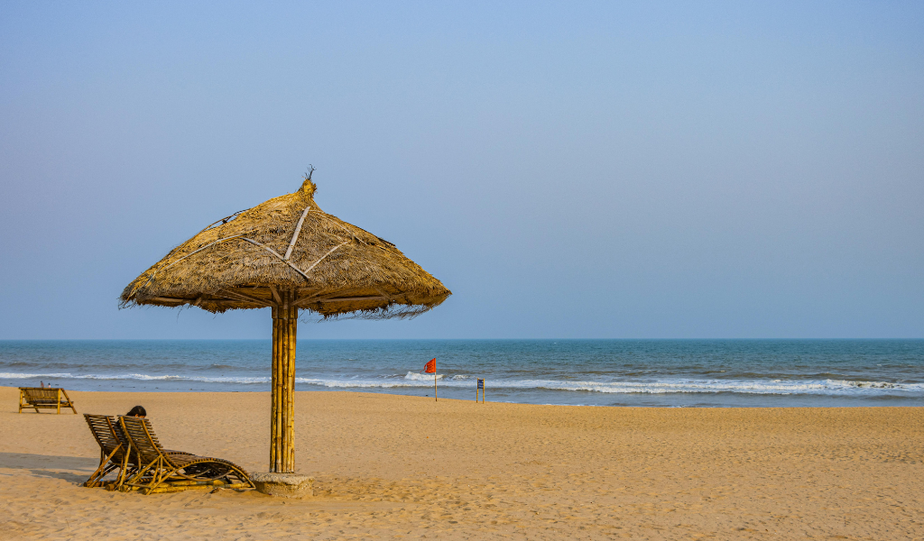 Golden sand beach in Puri with thatched straw umbrella and lounge chairs image Captured during Puri tour package.