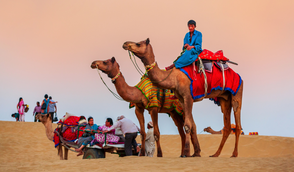 Tourists enjoying a camel ride across desert sand dunes during sunset in Jaisalmer during  jaipur Udaipur Jaisalmer Tour Package