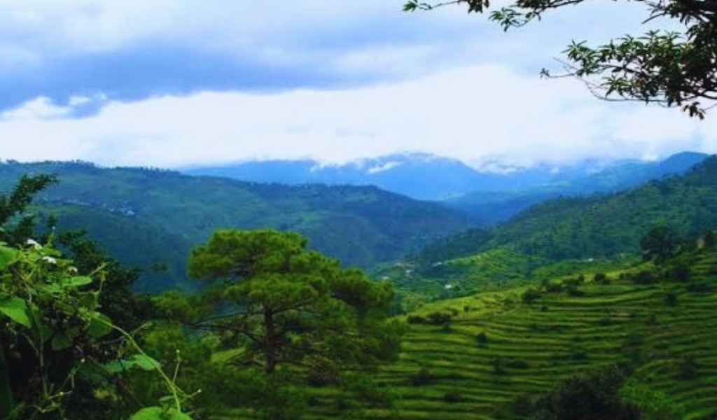 Scenic green valley and mountain view during a ranikhet tour package in uttarakhand