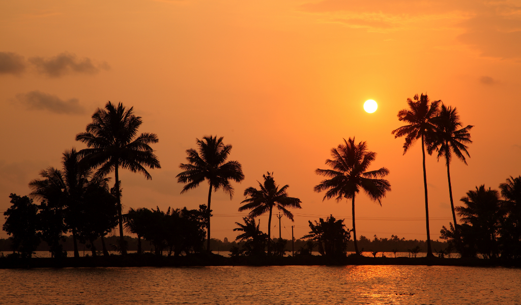 Traditional houseboat cruising on serene Kerala backwaters surrounded by lush coconut palm trees and tropical greenery